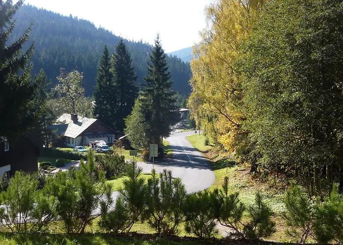 Guest house Boruvka 3*