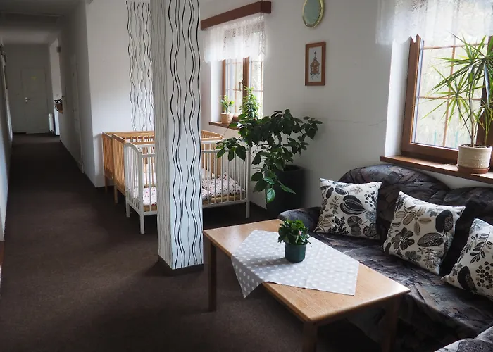 Boruvka Guest house 3*
