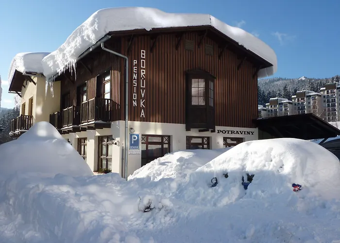 Guest house Boruvka Spindleruv Mlyn