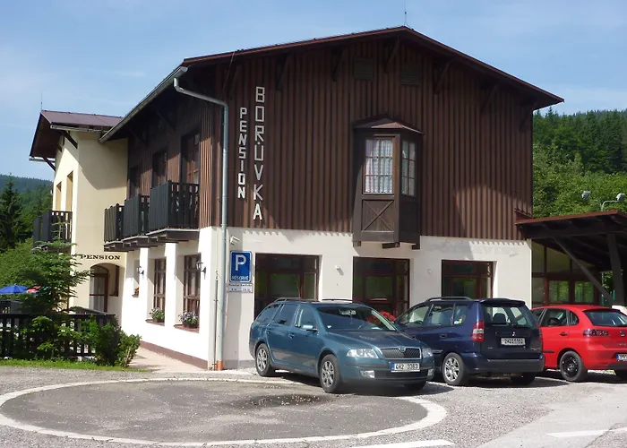 Guest house Boruvka
