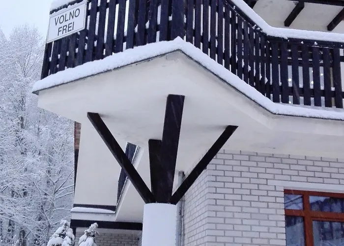 Boruvka Guest house 3*