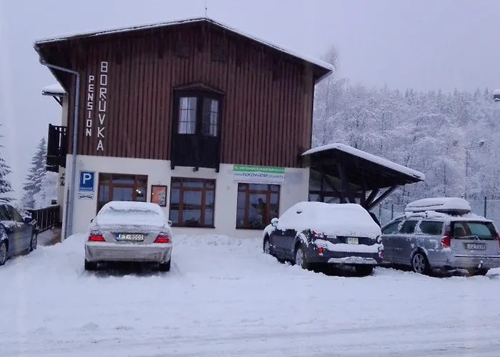 Boruvka 3* Spindleruv Mlyn