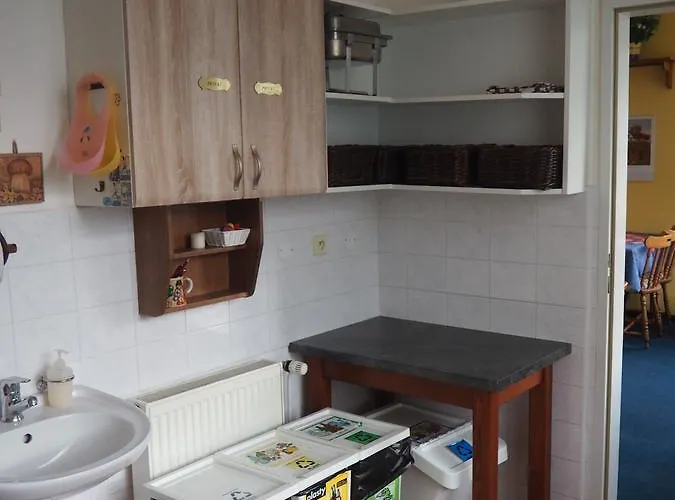 Guest house Boruvka