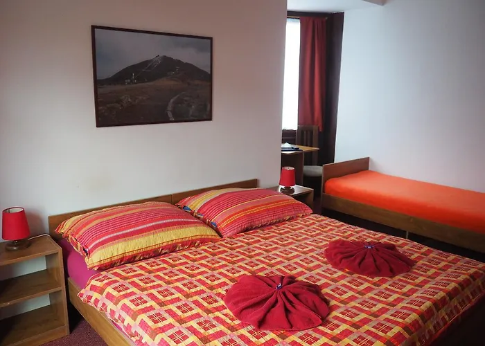 Guest house Boruvka 3*