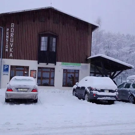 招待所 Boruvka Špindlerŭv Mlýn